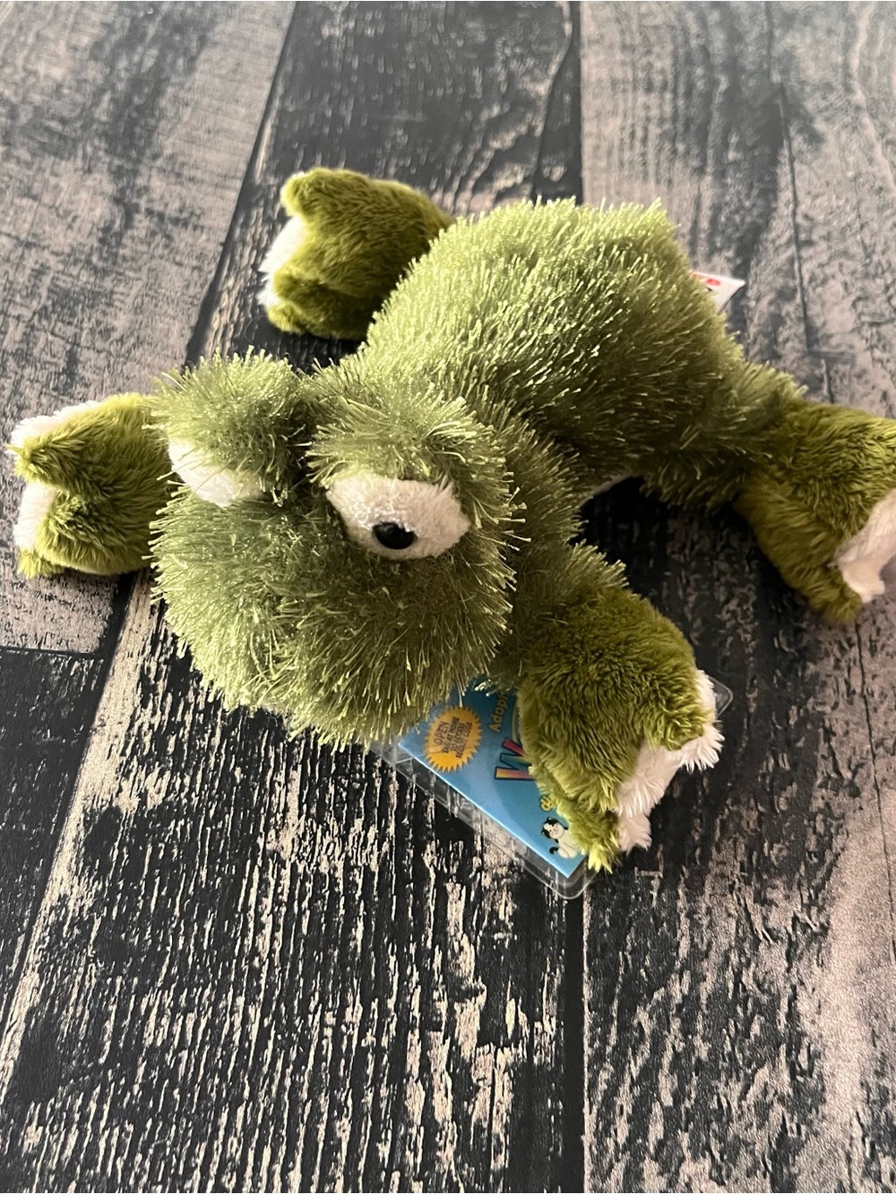 Webkinz frog